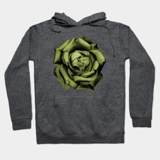 Yellow Charcoal Rose Hoodie